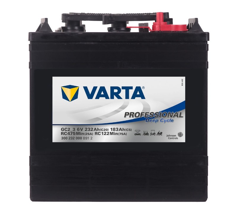 Imagen de Batería VARTA GC2-3 Professional Deep Cycle