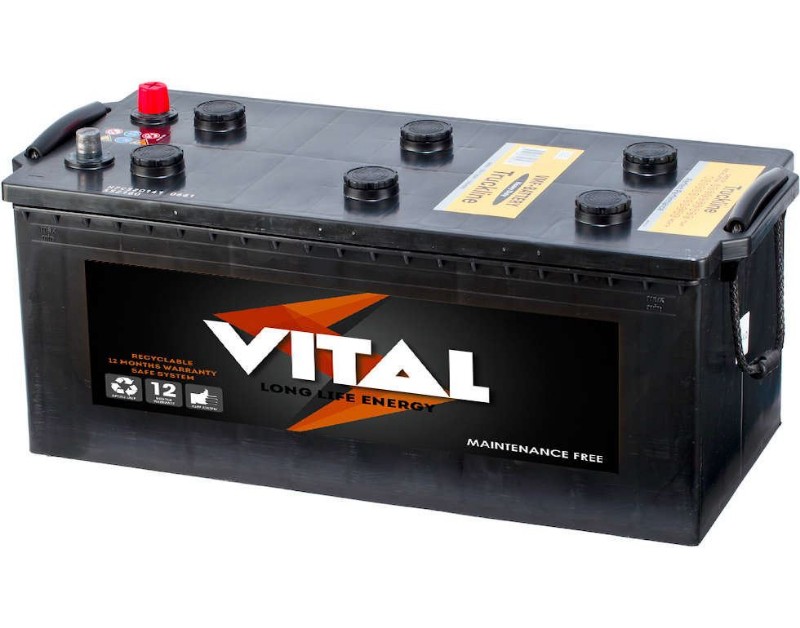 Imagen de VITAL HD Alma B1801100I