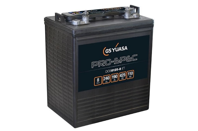 Imagen de Batería YUASA PRO-SPEC DCB8125-8