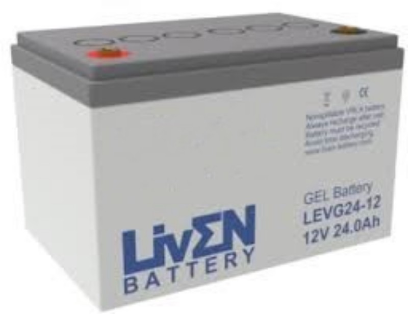 Imagen de Batería LIVEN LEVG24-12 GEL Ciclo Profundo