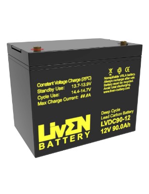 Imagen de Bateria LIVEN LVDC90-12  G24 Lead Carbon Ciclo Profundo