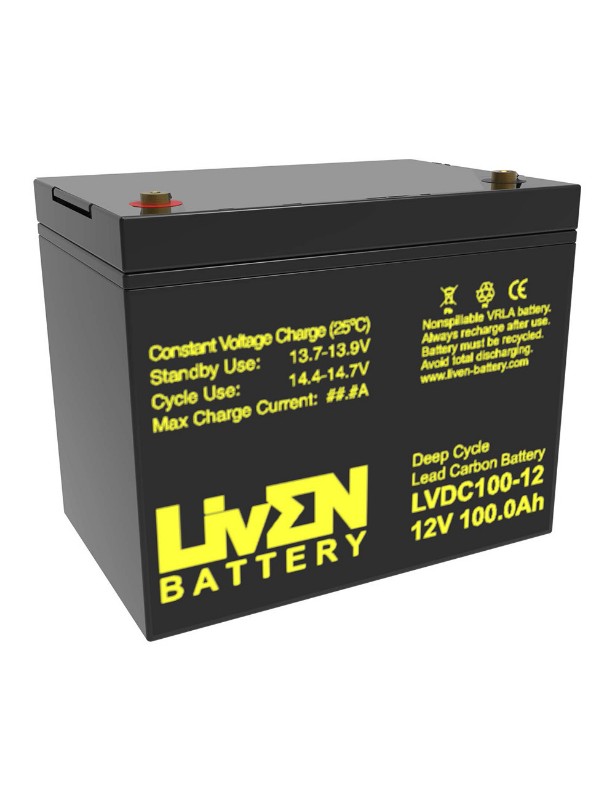 Imagen de Bateria LIVEN LVDC100-12 Lead Carbon Ciclo Profundo